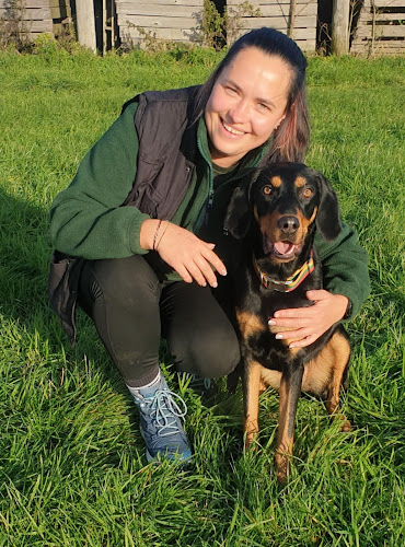 4 Paws K9 Specialist in Peterborough