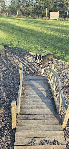 A Dog’s Life Adventure Dog Field, Horley in Reigate and Banstead