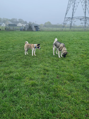Acres of Fun @ Fieldhead Pet Stays in Kirklees