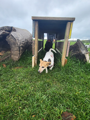 Adventure Paws Dog Park, Darlington in County Durham