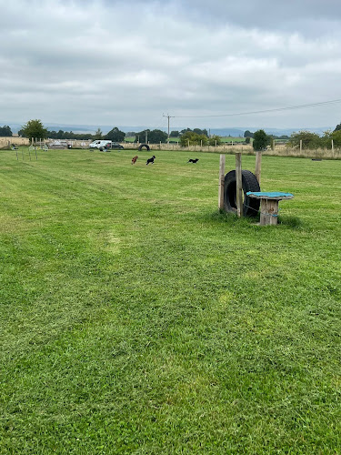 Airntully Dog Park For Hire in Perth