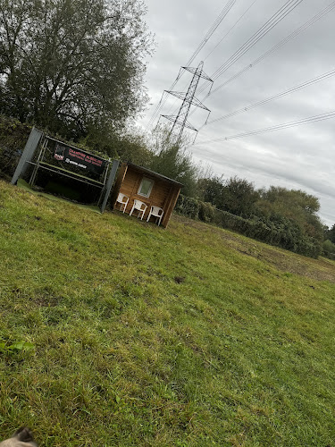 All Things K9 in Loughborough