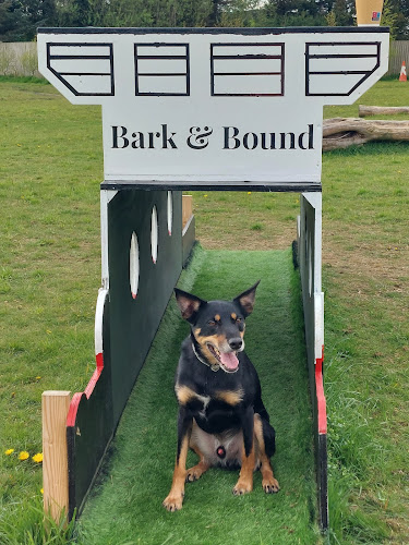 Bark & Bound in Ayr