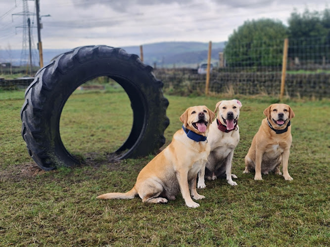 Bark Island Dog Field, Halifax in Halifax