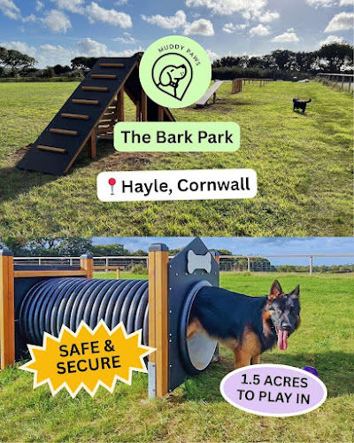 Bark Park, Dog Field, Hayle in Penzance