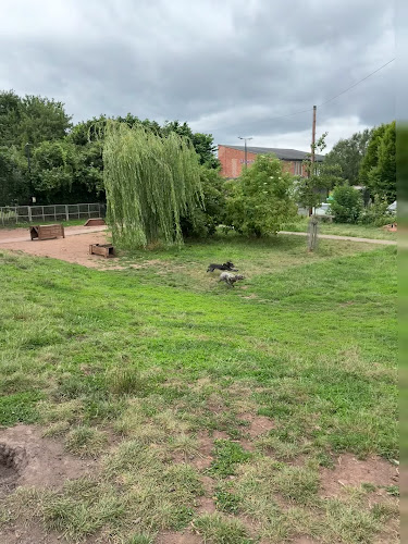 Bark Park for Dogs in Bristol