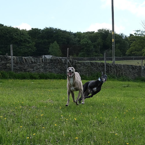 Barklands Secure Dog Walking Field, Holmfirth in Kirklees