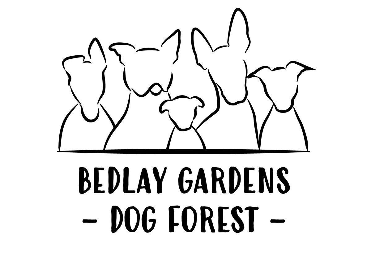 Bedlay Gardens Dog Forest, Chryston in Glasgow