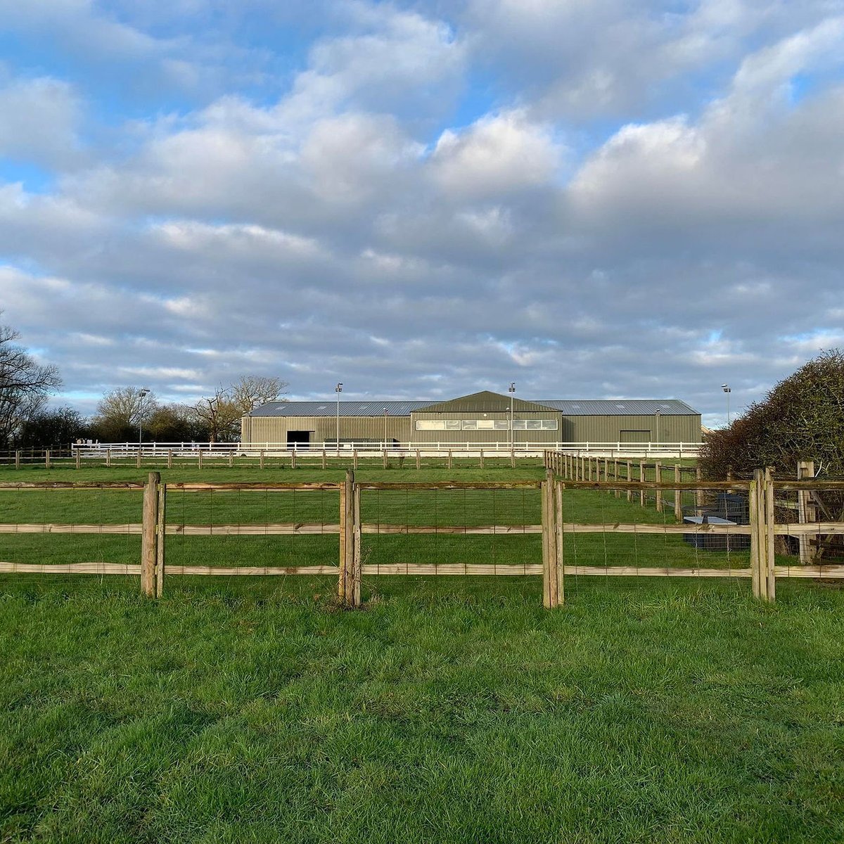 Beechwoofs Dog Field, Chelmsford in Chelmsford