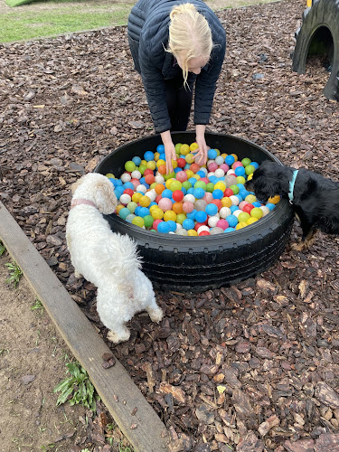 Behind Closed Paws Adventure Park in Norwich