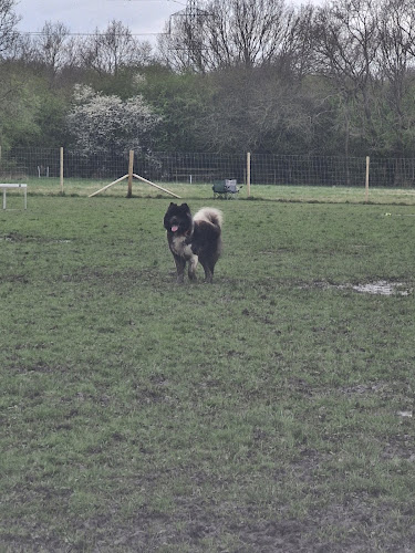 Bell Green Farm Dog Park, Skyehouse in Doncaster