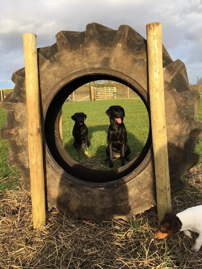 Berties Dog Field, Market Weighton in East Riding of Yorkshire