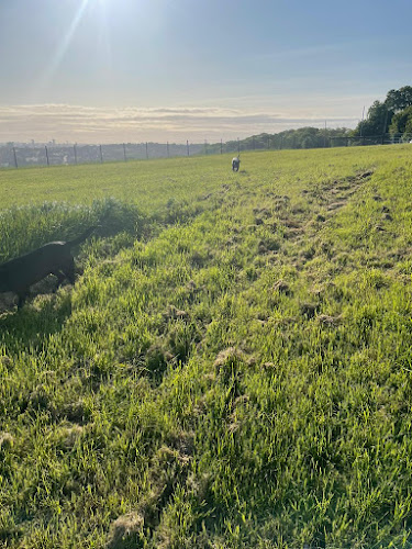 Beulah View Secure Dog Field, Leeds in Leeds