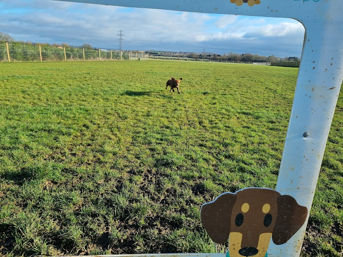 Billericay Dog Training Centre, Billericay in Essex