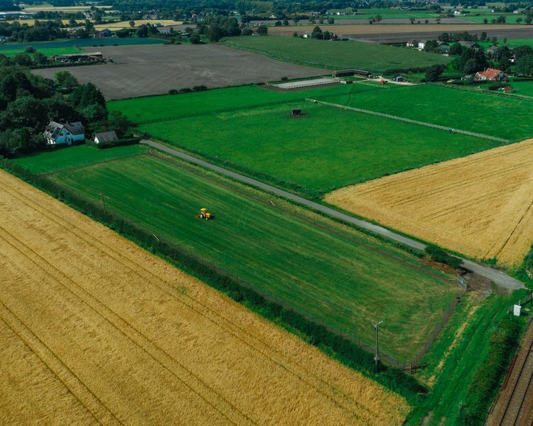 The Frog and Dog Secure Dog Field, Ormskirk in Lancashire