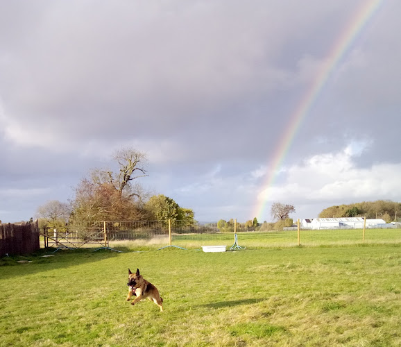 Bosty Dog Fields (Anglian Road Entrance), Walsall in Walsall