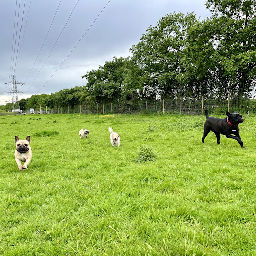 Bradshaws Bark Park in Walsall