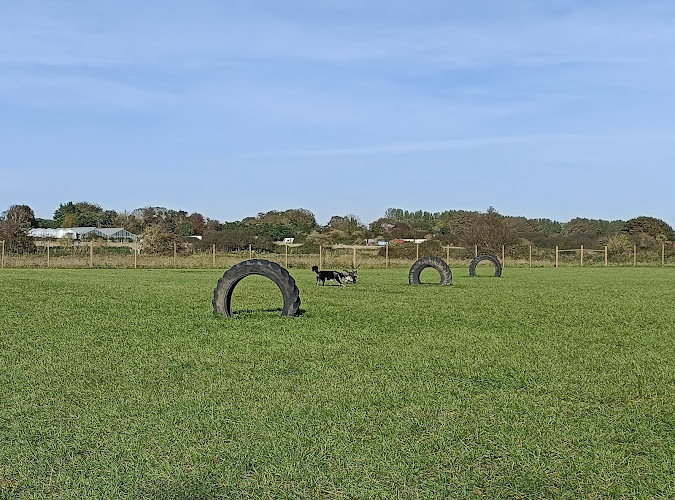 Bridge Meadow Secure Dog Field, Littlehampton in South East