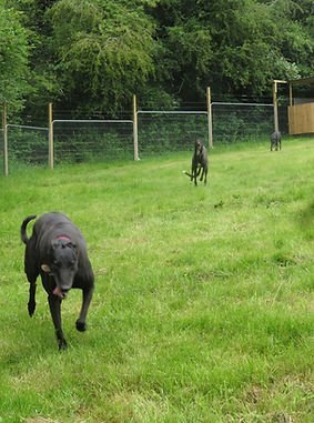 Brockswood Animal Sanctuary in West Midlands