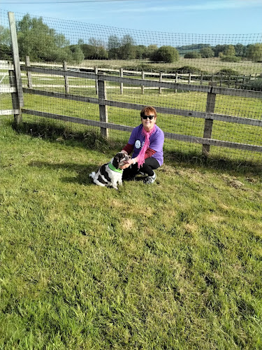 Brookfield Place Freedom Dog Field, Sudbury in Suffolk