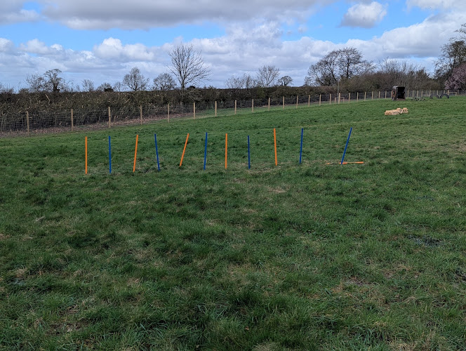 BSE Secure Dog Field in Bury Saint Edmunds