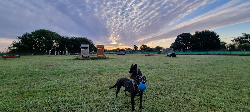 Burt’s Haven Freedom Field (Dog Field), Boston in Lincolnshire