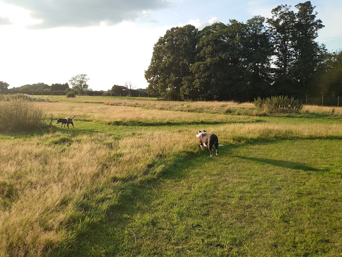 Buzzards Valley Secure dog park. in West Midlands