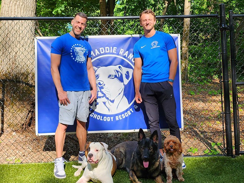 Canine Karma Dog Park, St Albans in St Albans