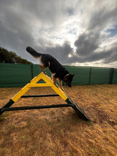 Carlie’s Canines Dog Field, Lichfield in Staffordshire
