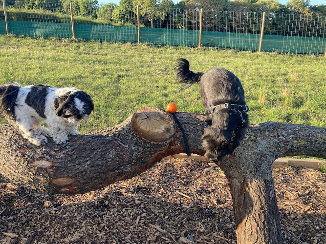 Cheshire View Dog Park, Kinnerton in Chester