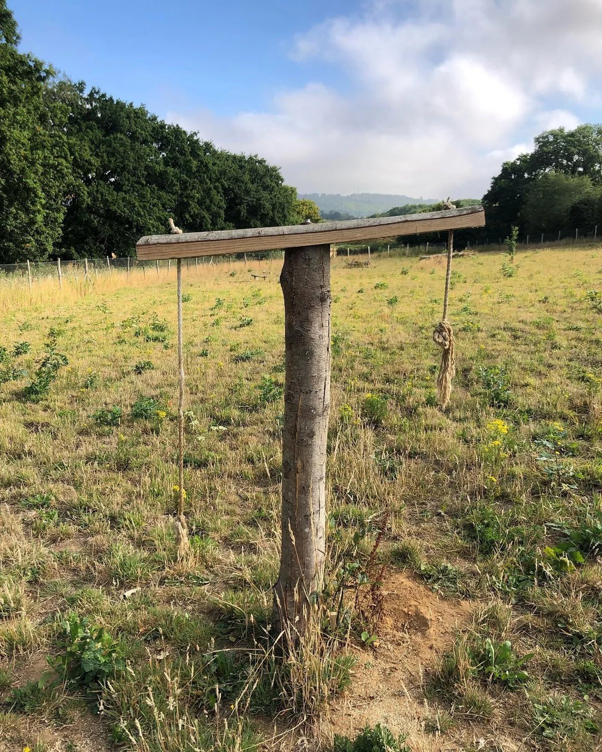 Ightham Dog Paddock, Ightham in Sevenoaks