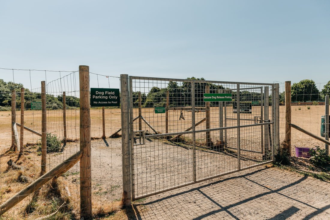Chichester Secure Dog Activity Park & Training Centre in Chichester