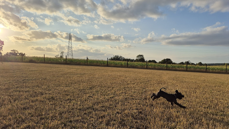Claines Dog Fields, Worcester in Worcestershire