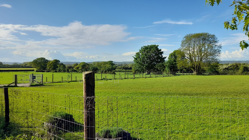 Cleeve Secure Dog Paddock, Cleeve in Weston-super-Mare