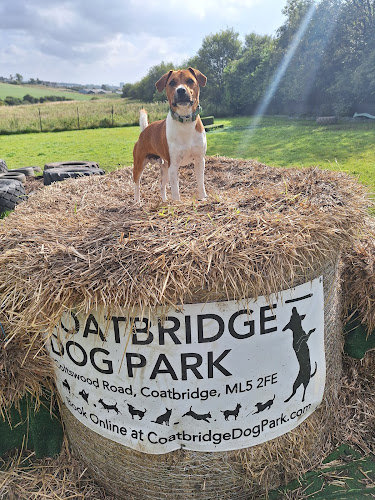 Coatbridge Dog Park, Coatbridge in Airdrie