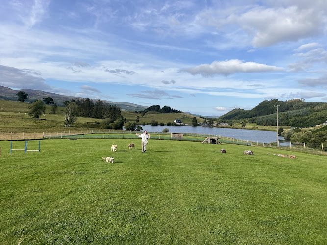 Comrie Dog Park in Perth