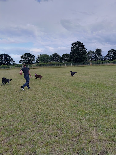 Corners K9 Fields, Easingwold in Hambleton