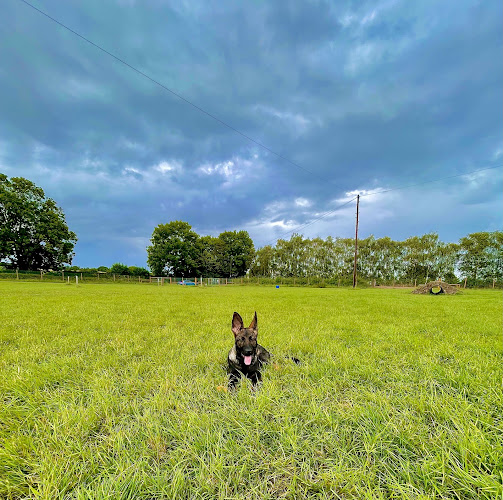 Coton Secure Dog Field, Cambridge in Cambridge
