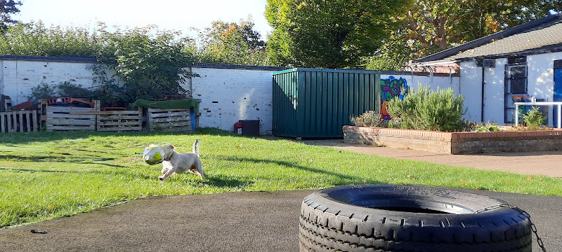 Crofts Corner Dog Park in Bretton