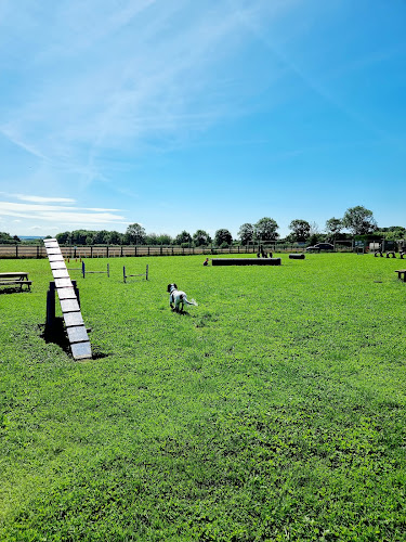 Cropwell K9s Agility Paddock, Cropwell Bishop in Nottinghamshire