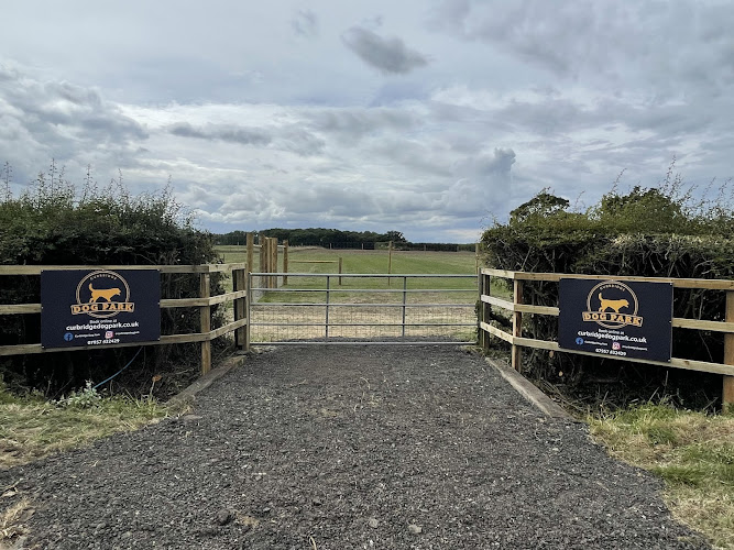 Curbridge Dog Park, Witney in Witney