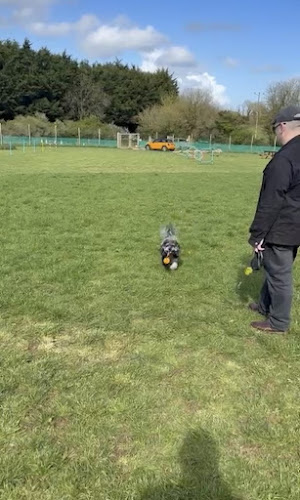 Dainton Copse Dog Park in Newton Abbot
