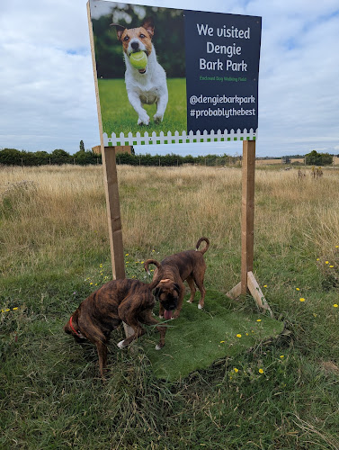 Dengie Bark Park in Chelmsford