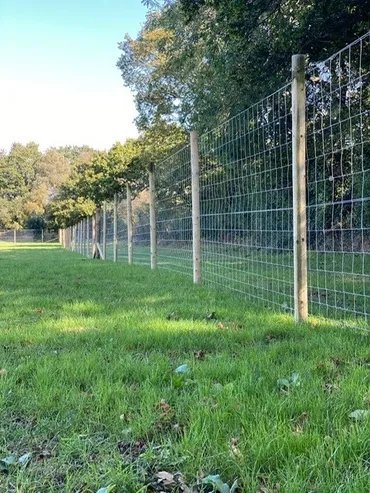 Dibden Fields Dog Park in Southampton