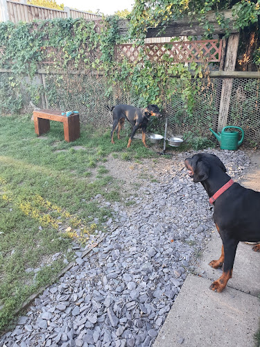 Di's Dog Garden and Sighthound Sanctuary in Norwich
