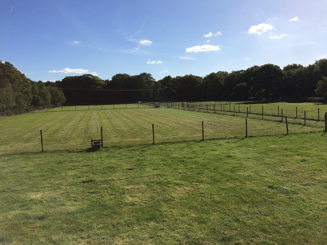 Dog Adventure Paddock, Lincoln in Lincolnshire