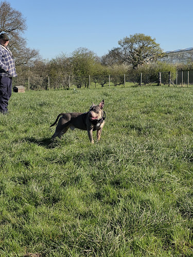 Dog Field At Holker Lane in Preston
