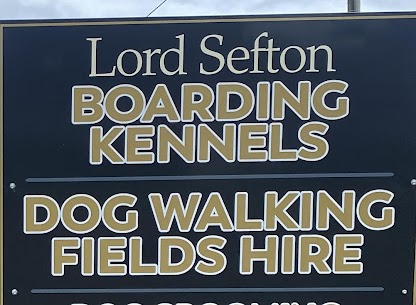 Dog walking field formby in Liverpool