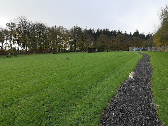 Dog Walking Meadow, Taunton in Taunton