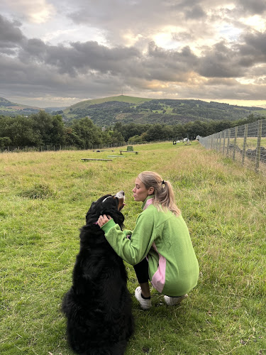 Dogcross Dog Field, Oldham in Manchester